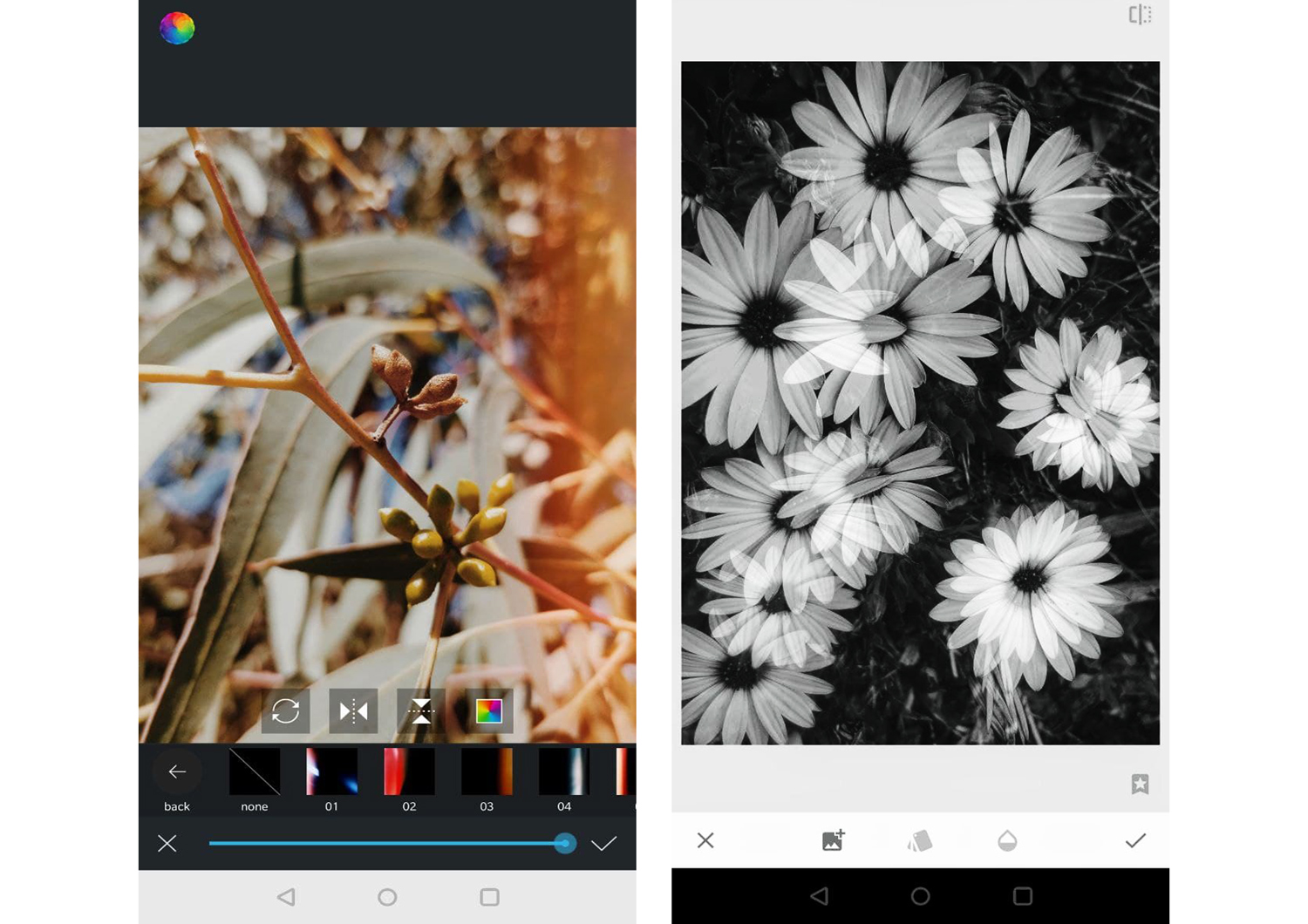 editing apps for creative phone photography