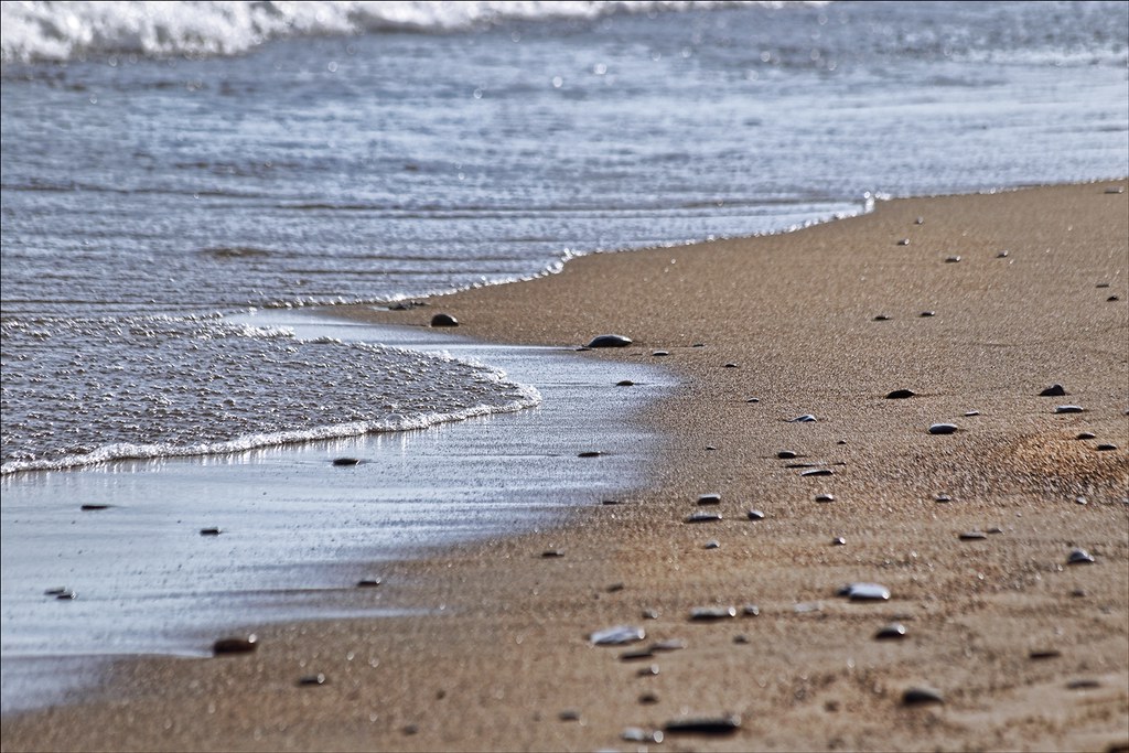 The Flickr Lounge: Seaside or Hillside