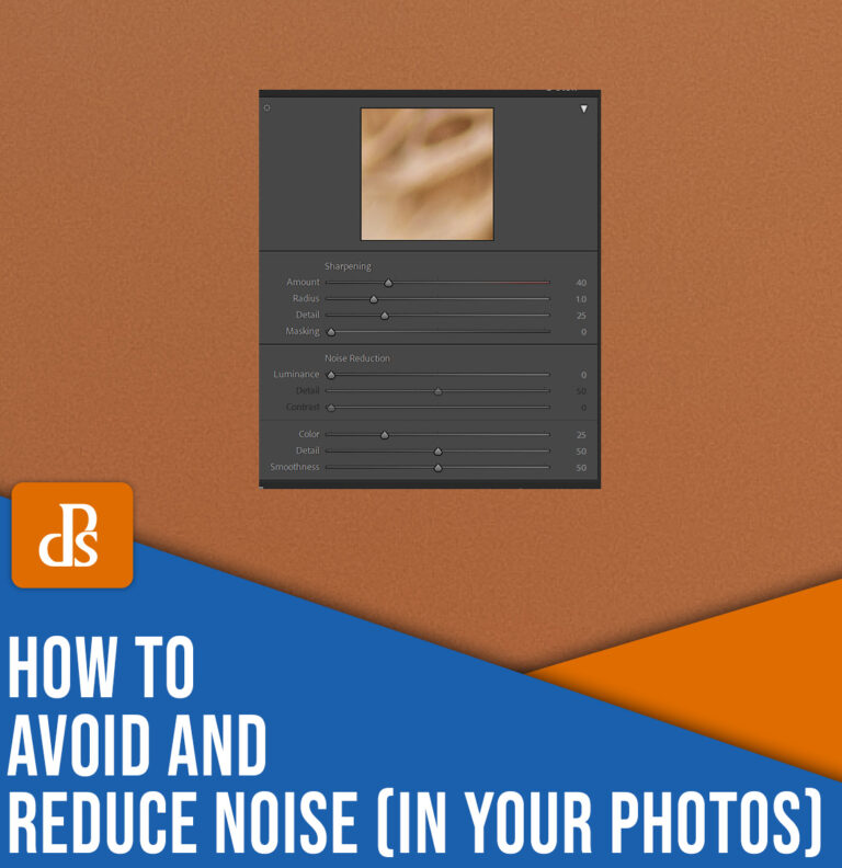 How to Avoid and Reduce Noise in Your Photos (A Practical Guide)