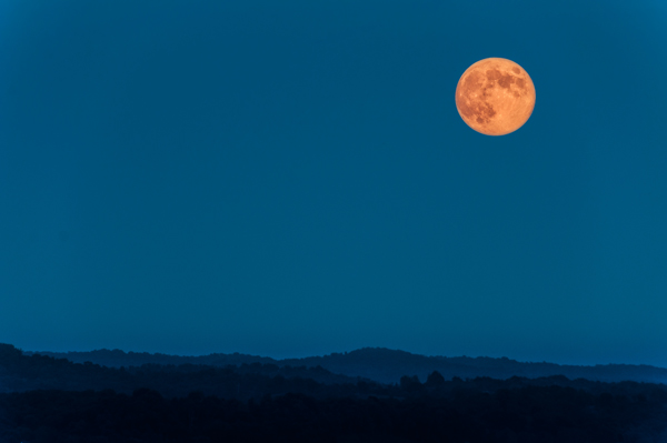 moon photography with a foreground object