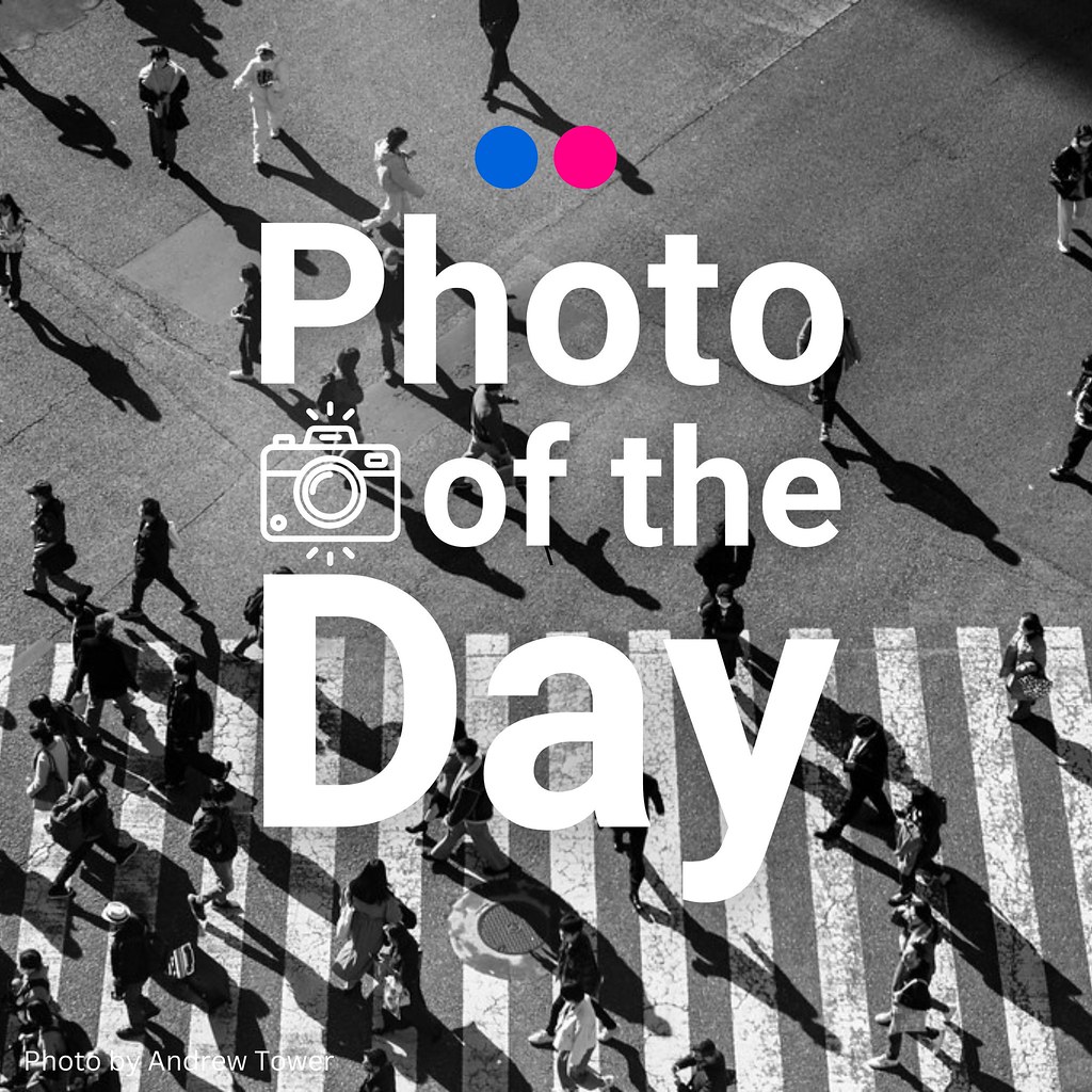 NEW: Flickr's Photo of the Day