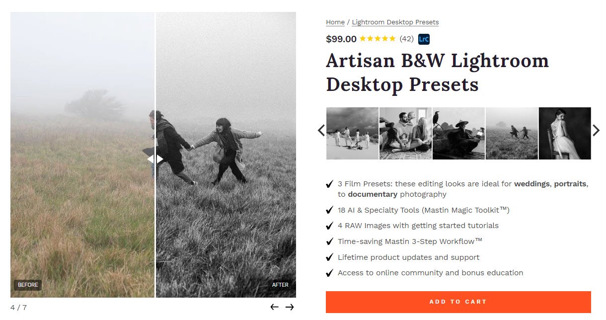 Best Lightroom presets Artisan B&W