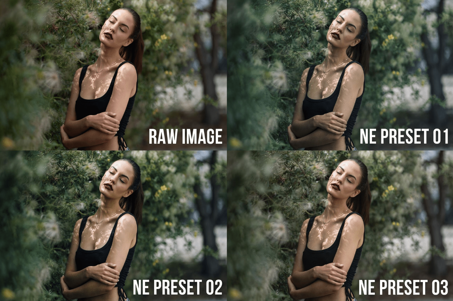 The Best Lightroom Presets in 2024