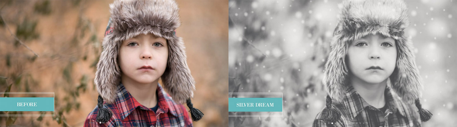 winter wonderland presets collection