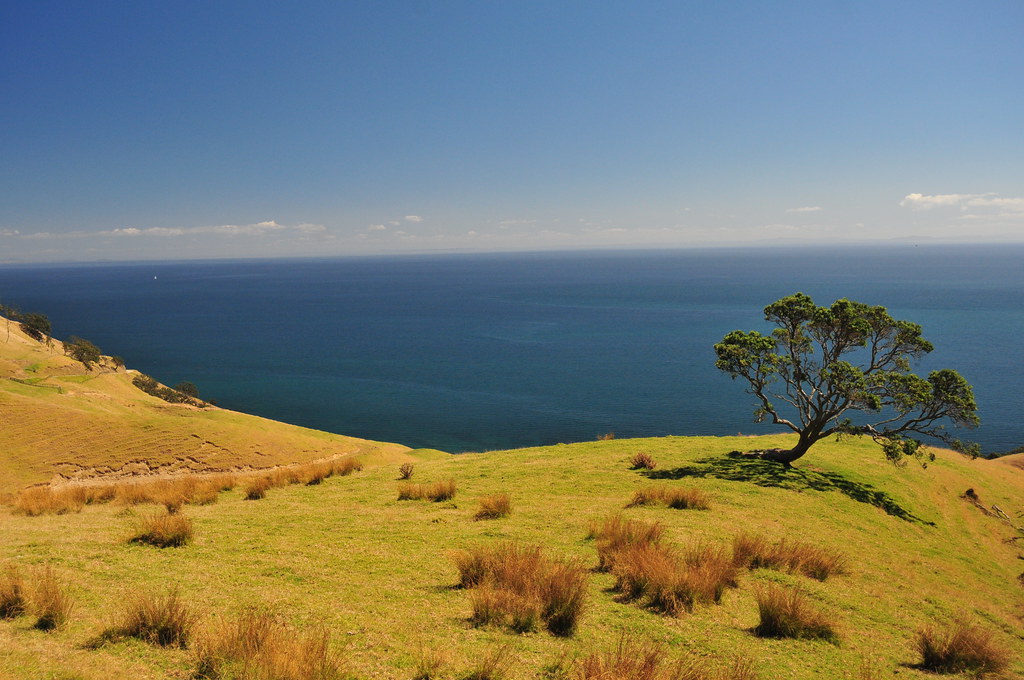 the coromandel pennisula, new zealand