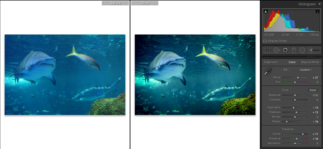 Aquarium photography tips