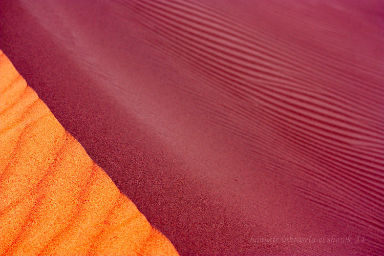 shadows on sand