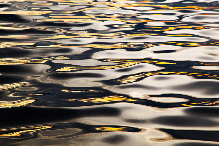 water rippes abstract nature photography