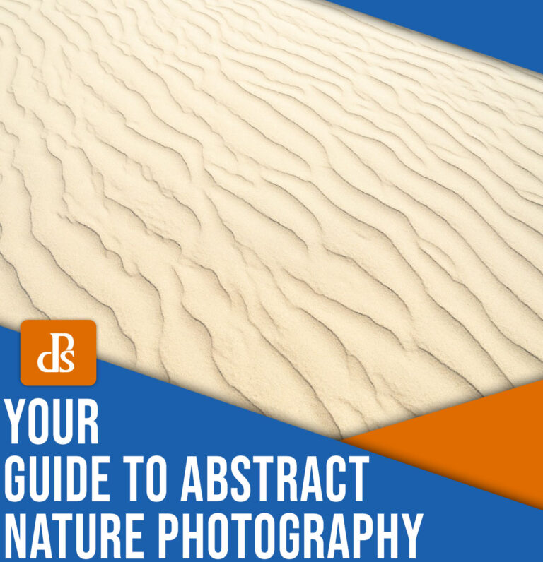 Abstract Nature Photography: A Guide (+ Tips and Ideas)