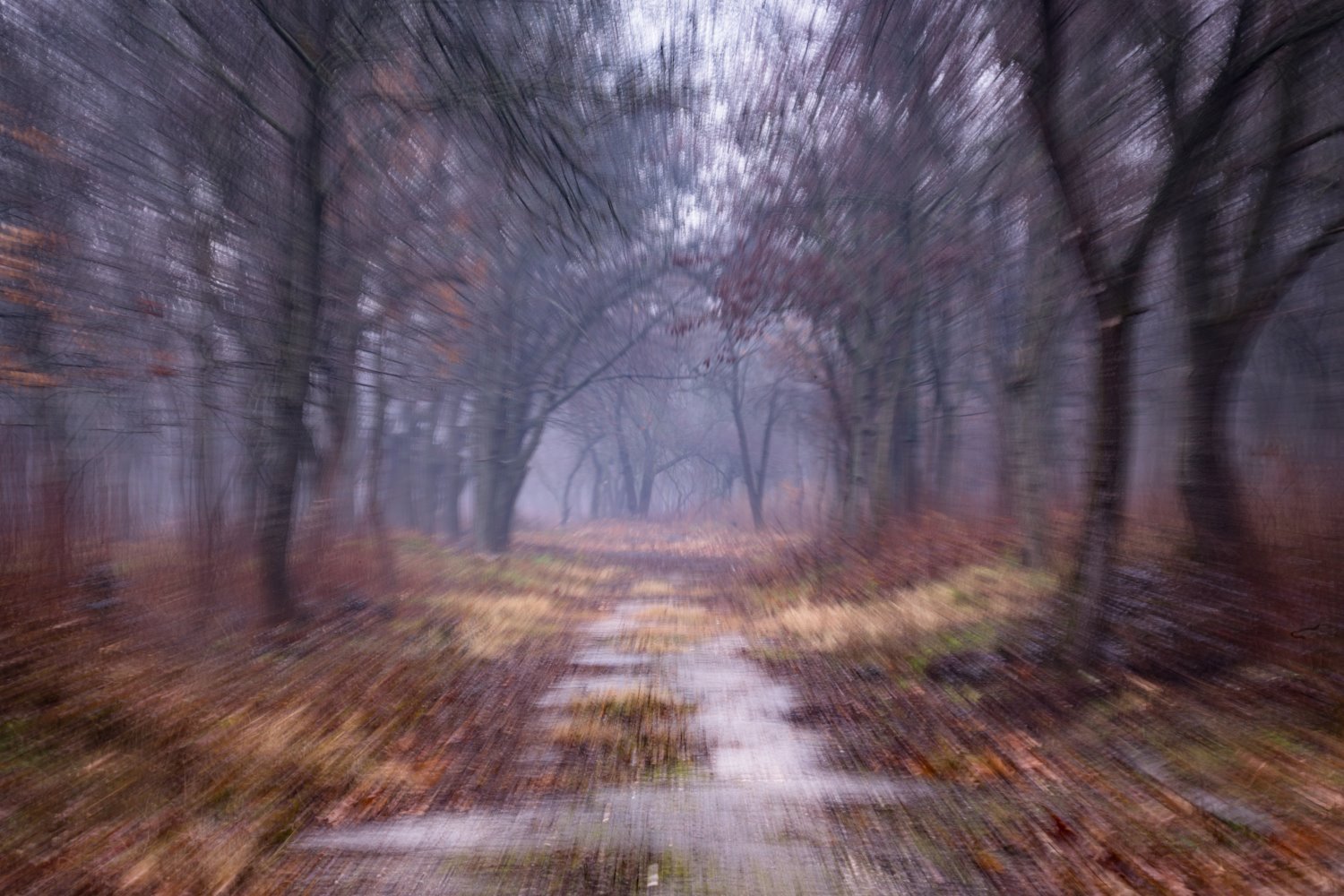 Intentional camera movement (ICM) photography