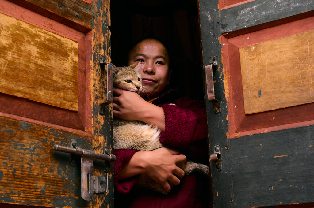 Finding peace in companionship. [ Flickr: PHOTO OF THE DAY  240710]