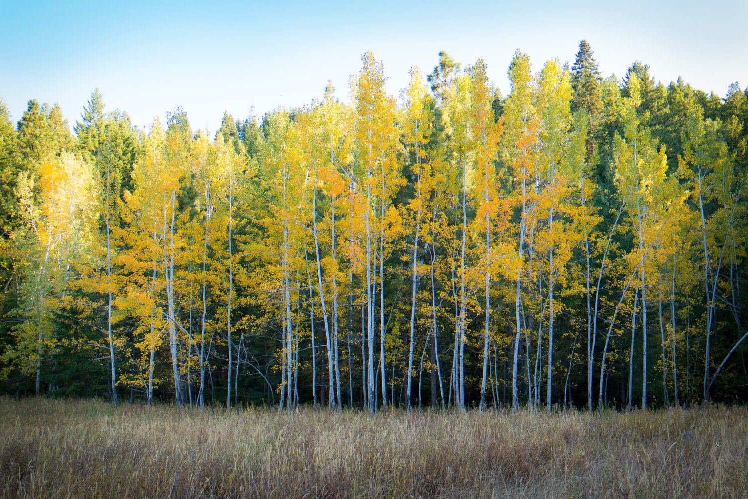 Fall landscape photography