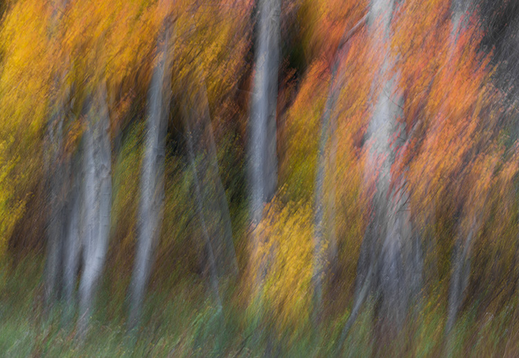 Fall landscape photography