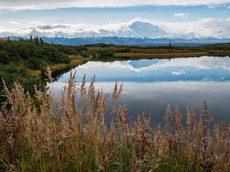 4 Tips to Help You Take Better Autumn Photos