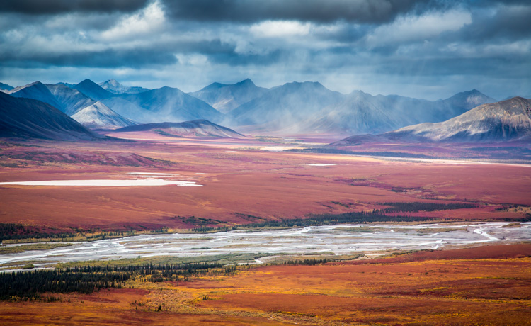 4 Tips to Help You Take Better Autumn Photos