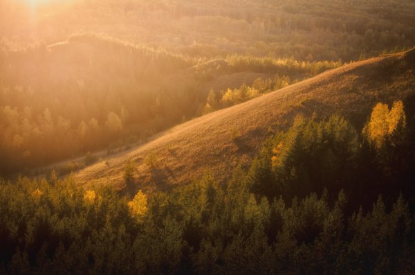 14 Tips for Beautiful Fall Landscape Photography