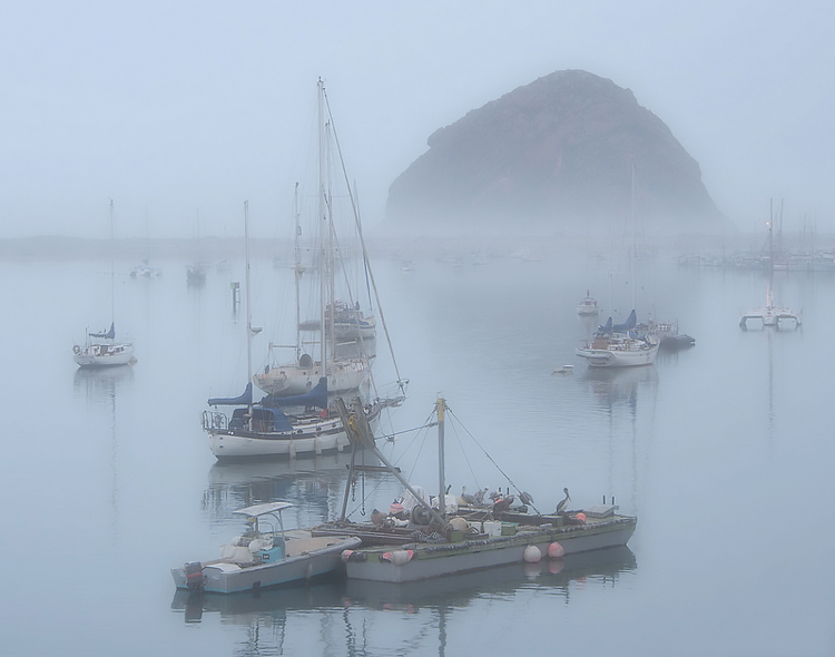 foggy, overcast lighting Morro bay