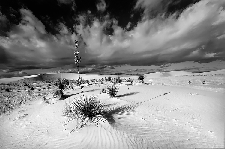 direct light sand dunes