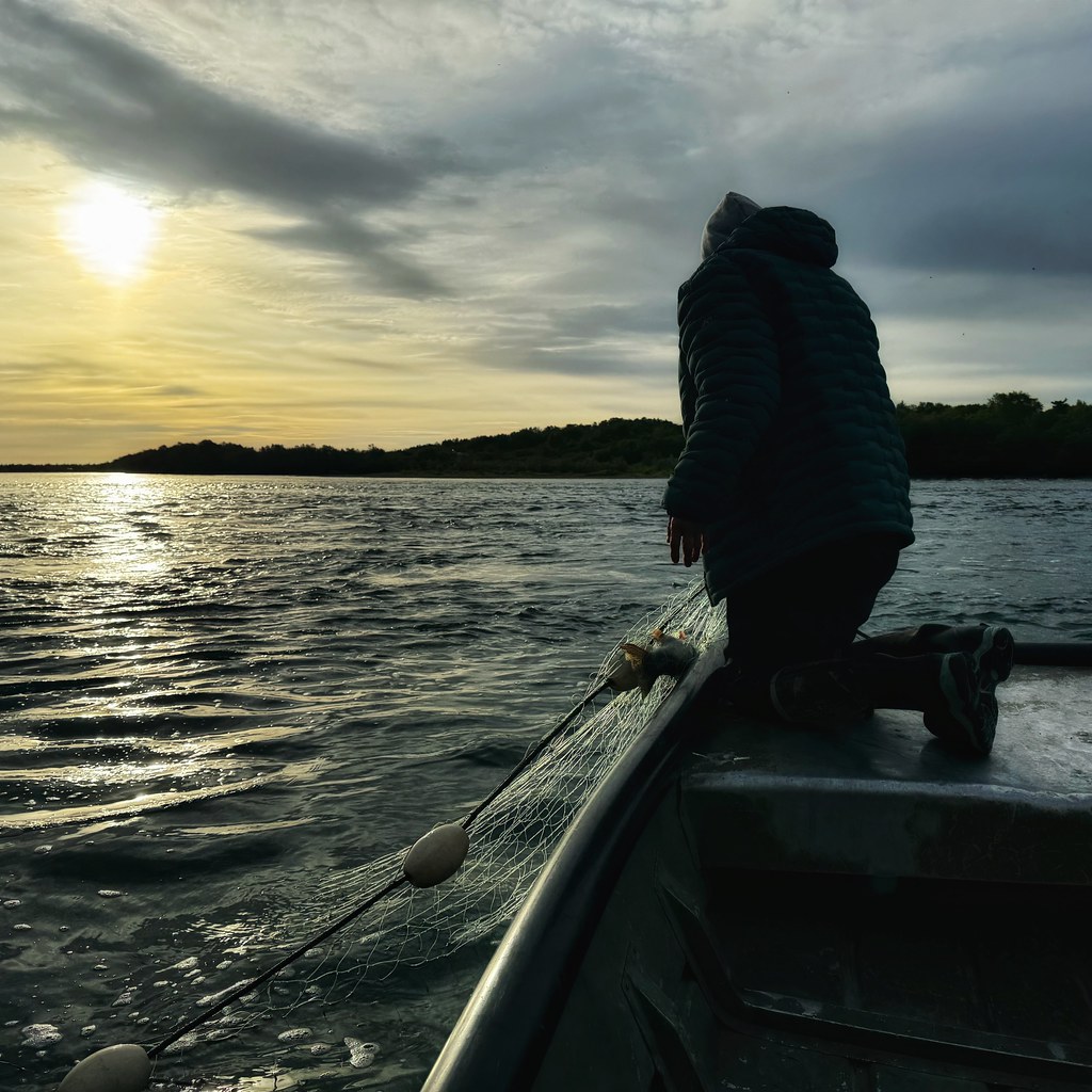 Checking the Nets