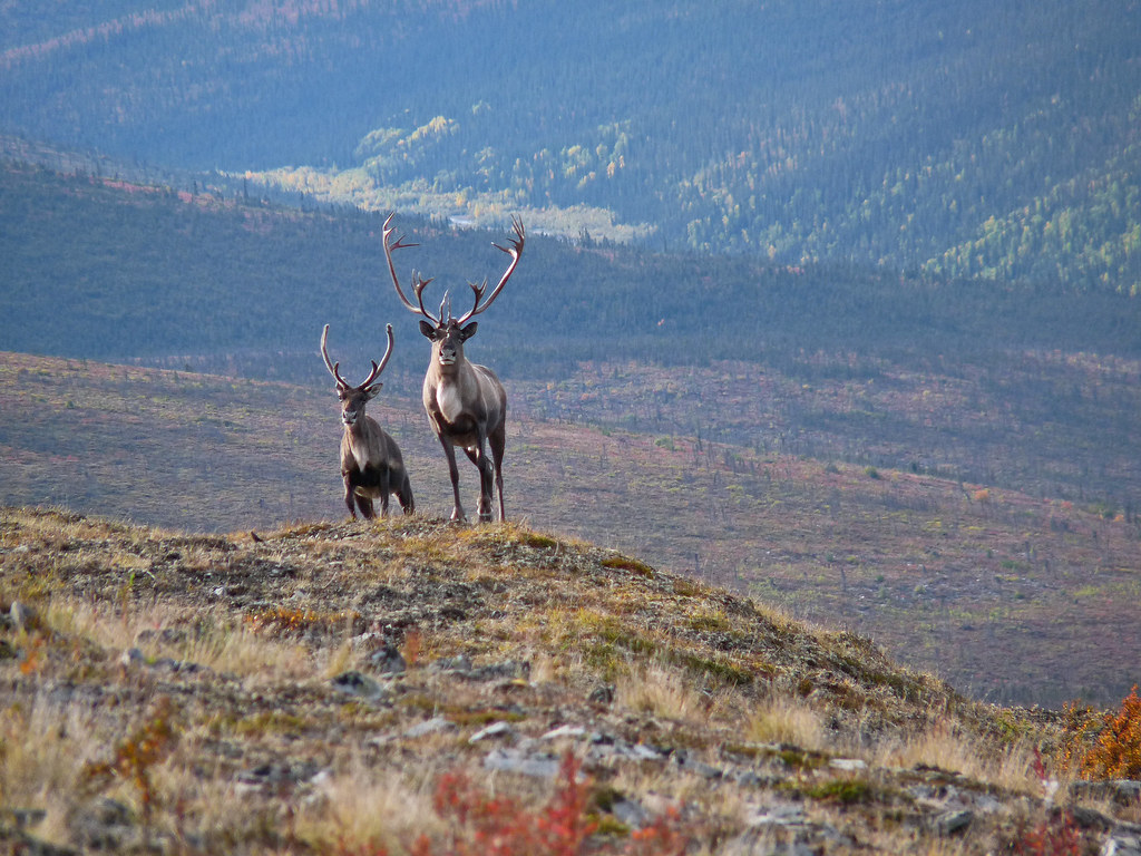 My Public Lands Magazine, Summer 2014