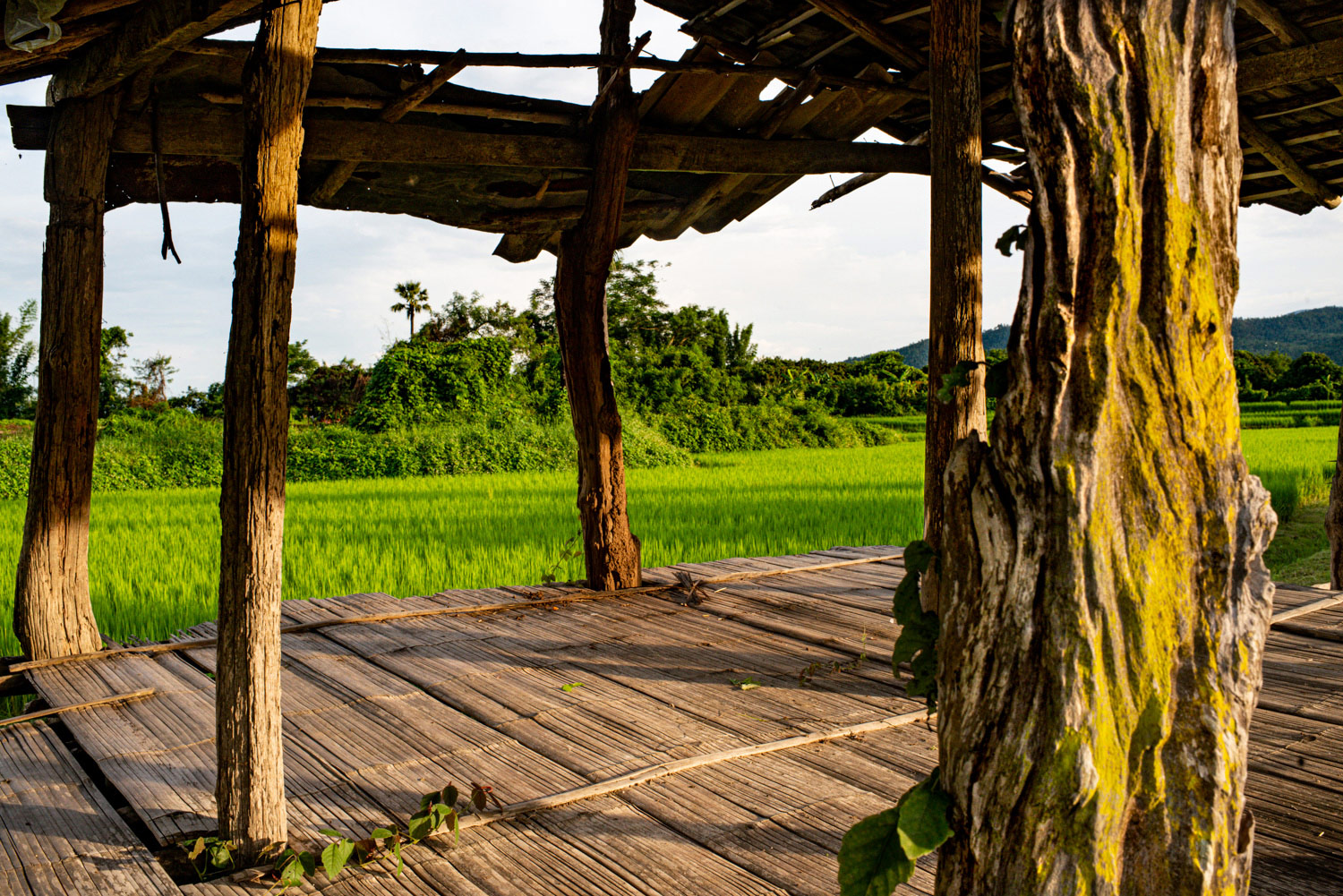 Rice shack 35mm landscape photography