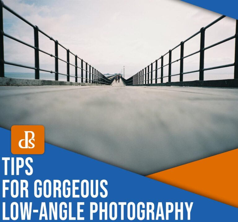 7 Tips for Amazing Low-Angle Photography