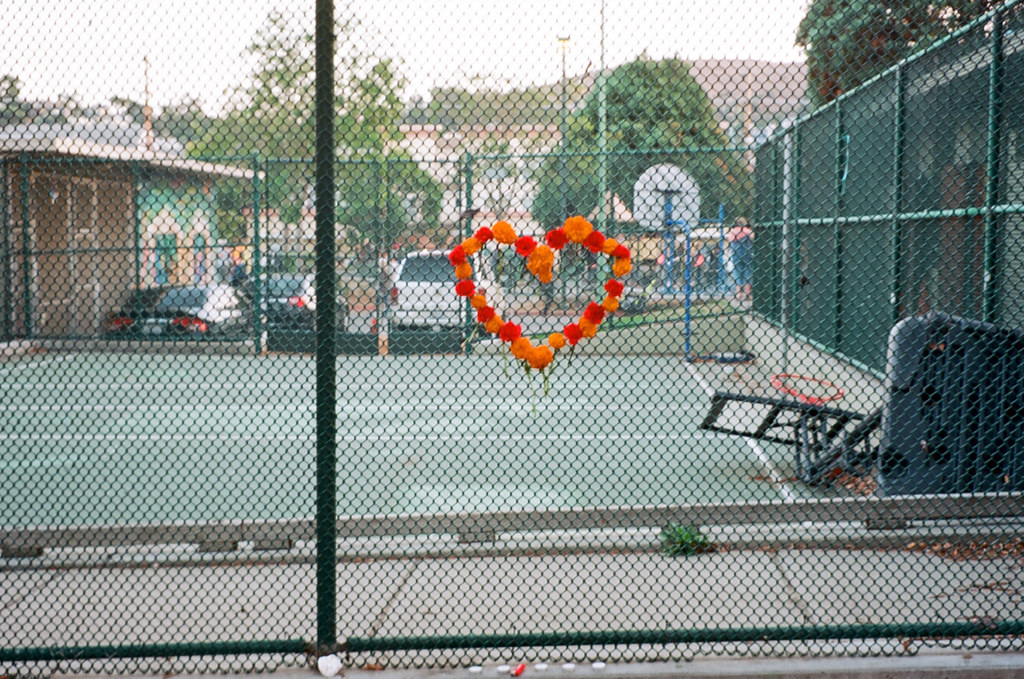 Marigold heart. San Francisco, CA.