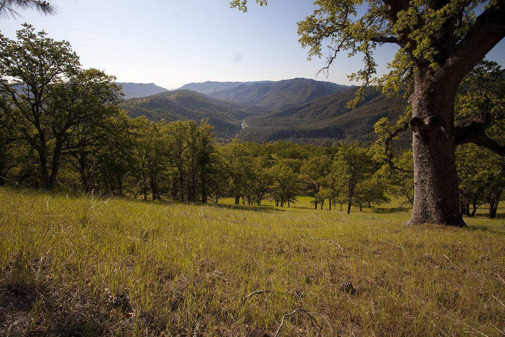 Cache Creek Wilderness