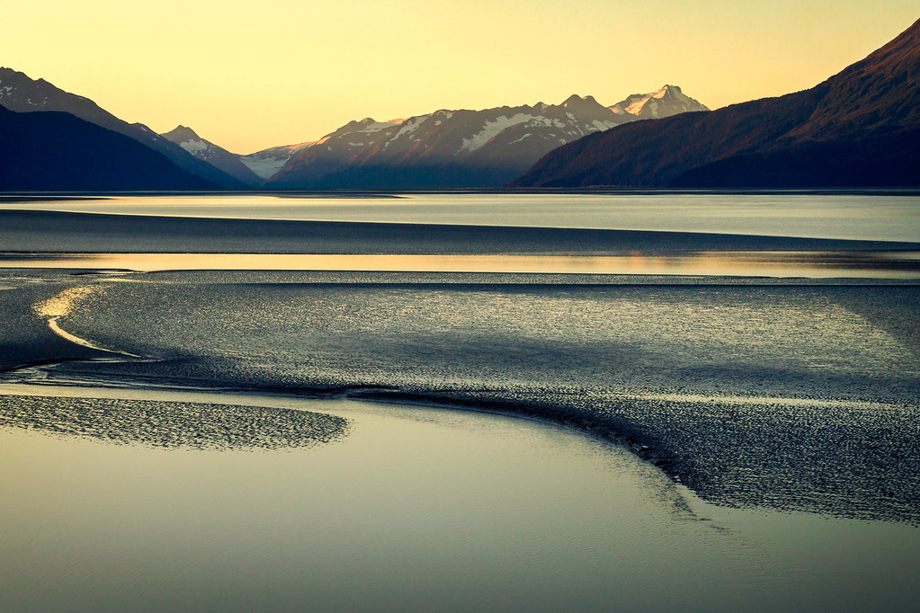 Low Tide at Chugach National Forest