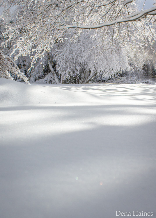 snow on a sunny day