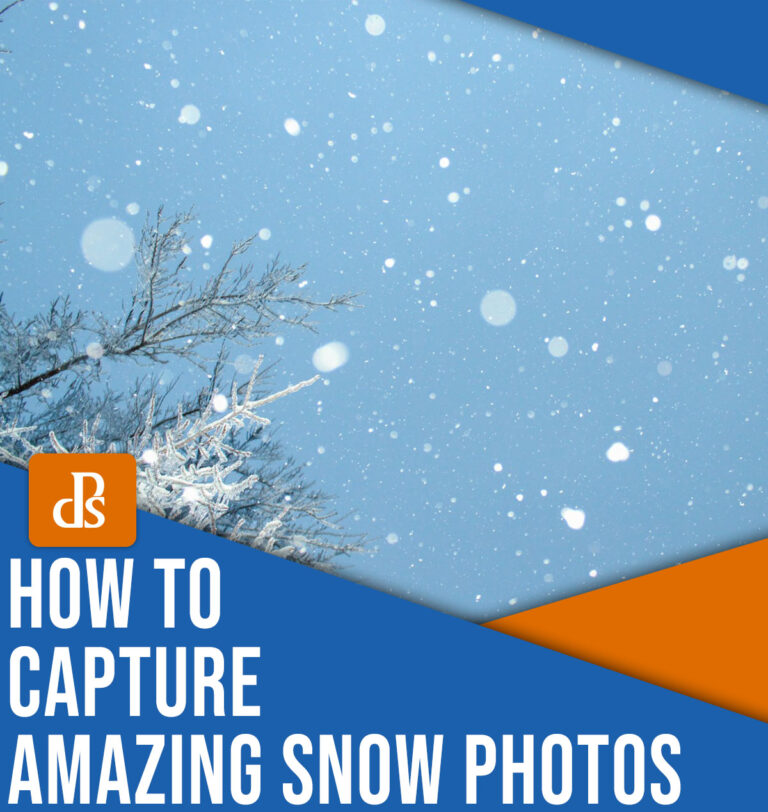 19 Snow Photography Tips (How to Capture Magical Snow Shots)