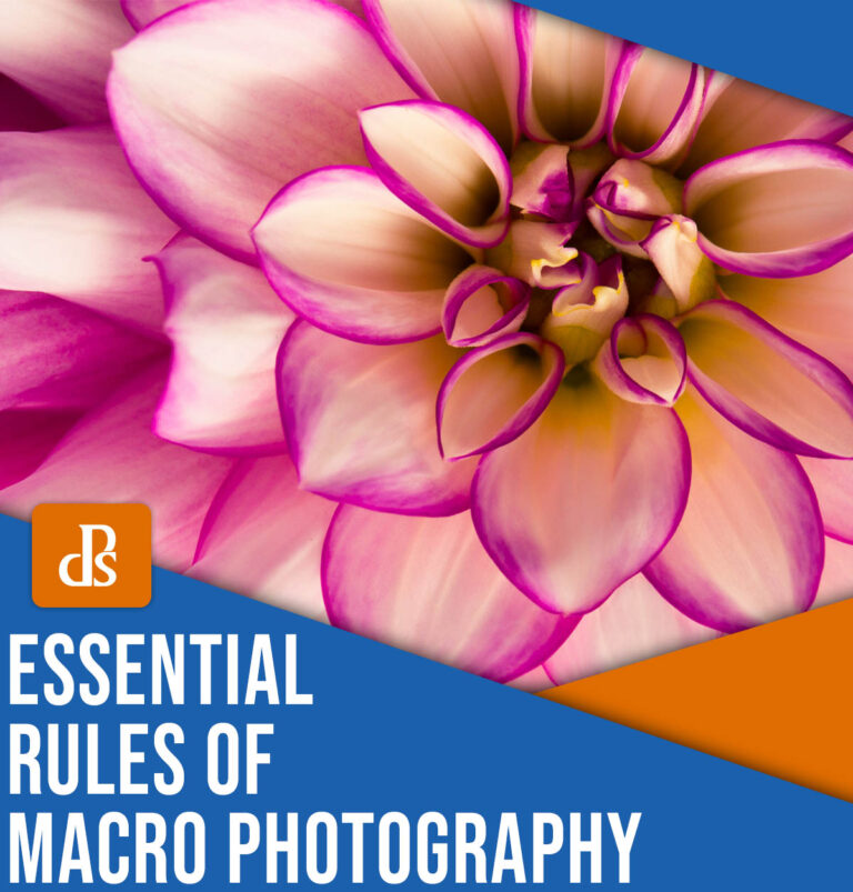 5 Essential Macro Photography Rules (and When to Break Them)