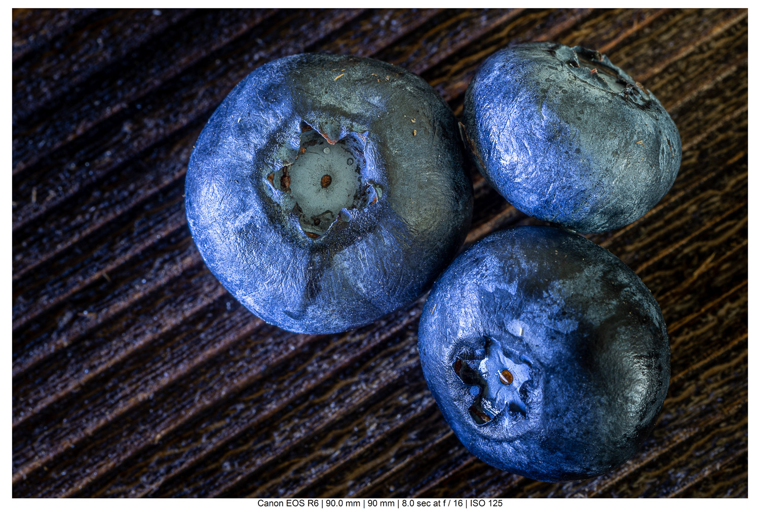 blueberry macro photography