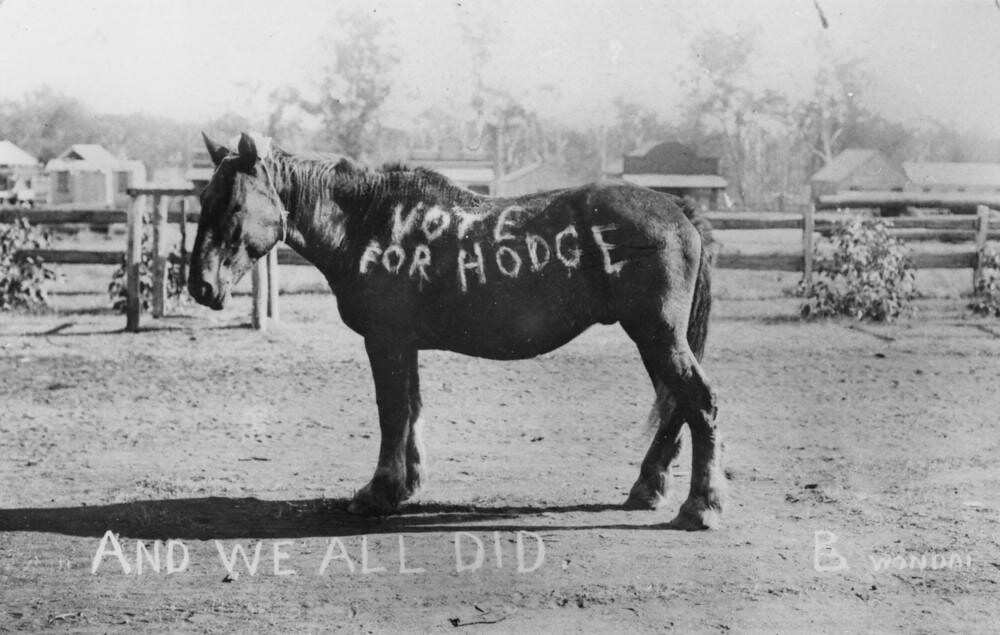 Election advertising in Wondai, 1906