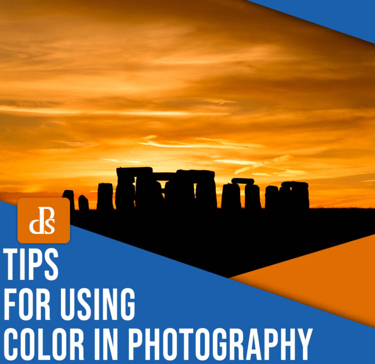 Color in Photography: 5 Tips for Stunning Results