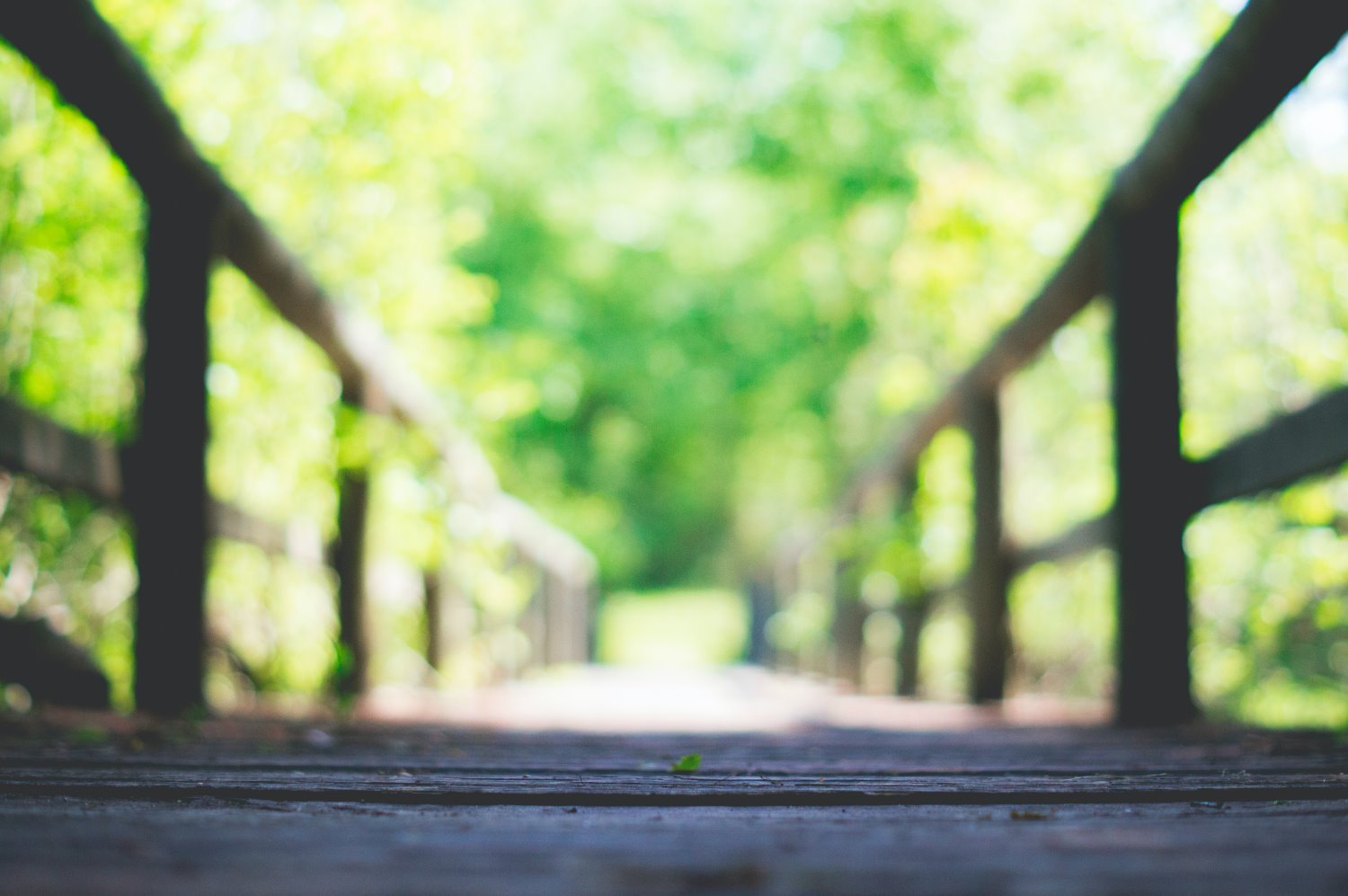 bridge stretching off with a shallow depth of field