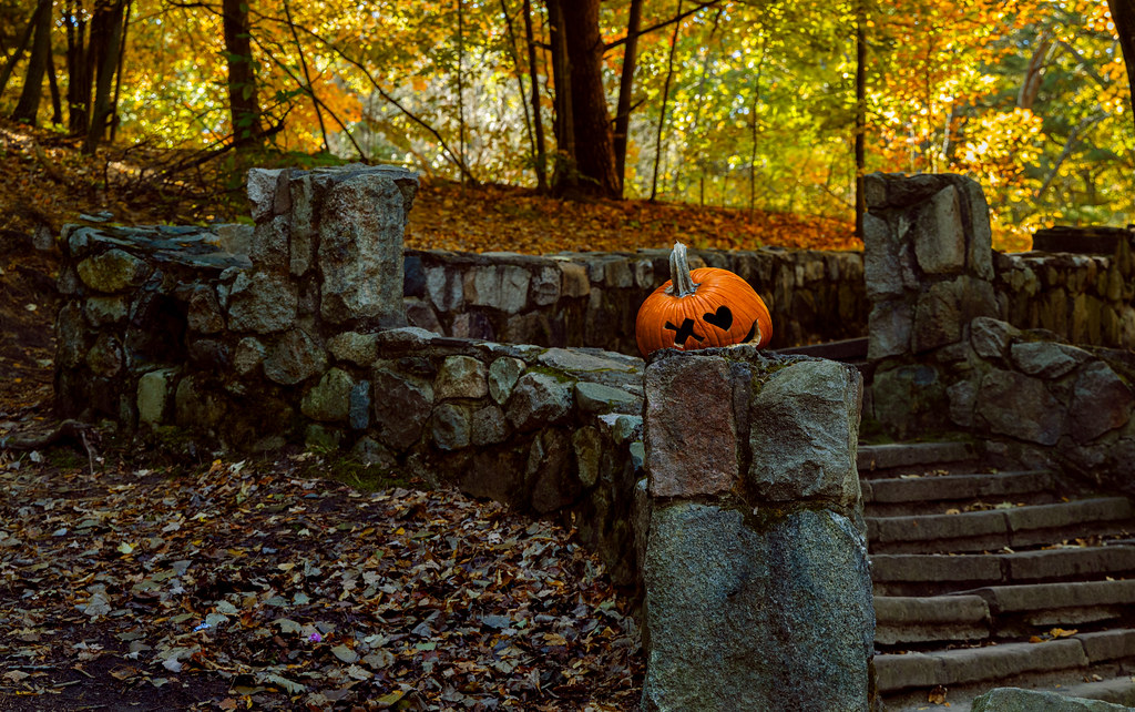 A Pumpkin Path Goes Where?