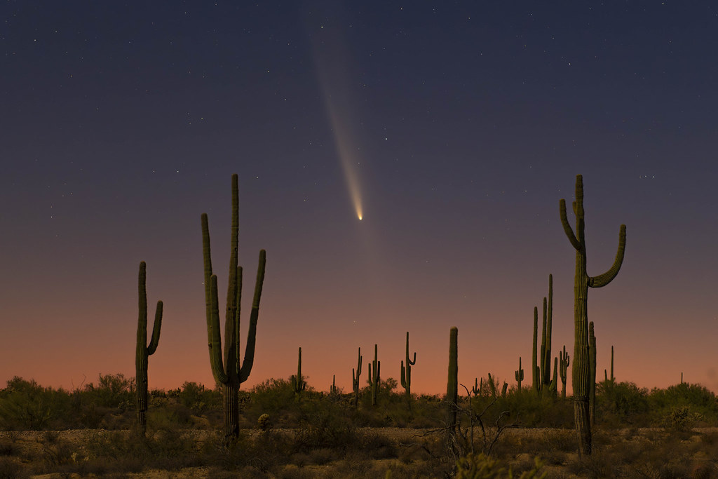 Sonoran Comet