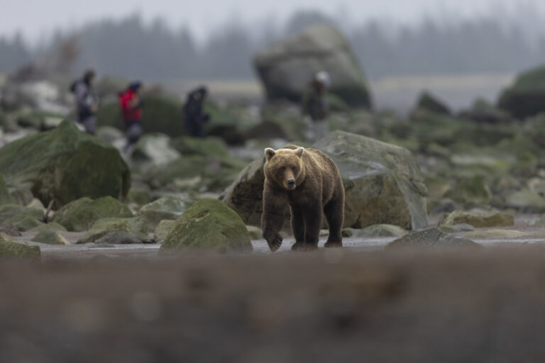 Love Letters to Flickr: Meet Some of the Photographers Supporting Flickr.org’s 100-Year Vision