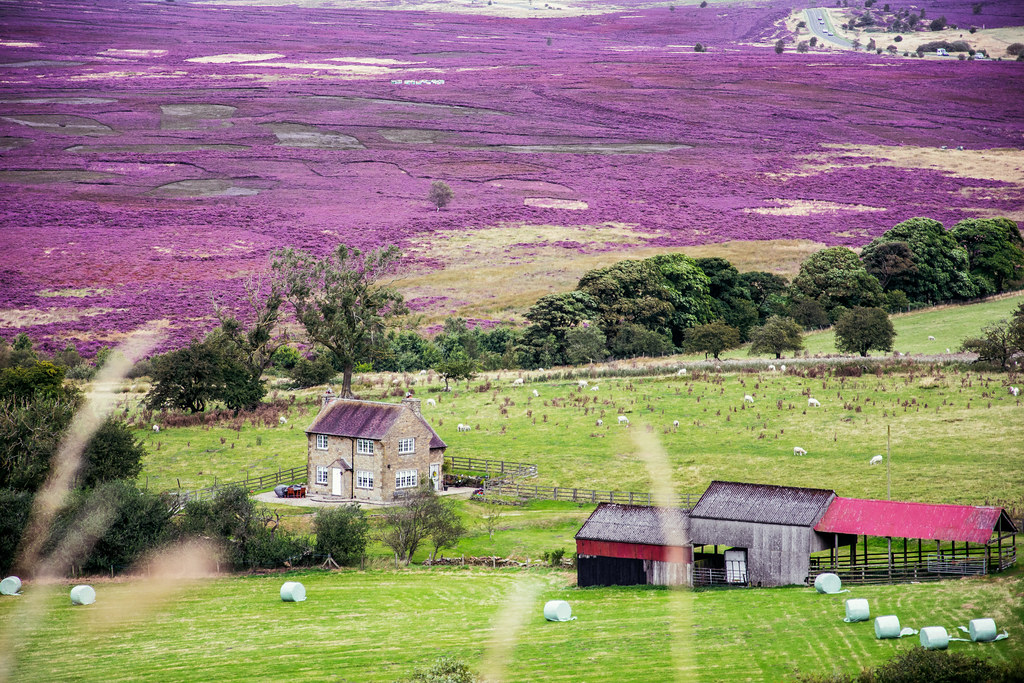 North York Moors, England