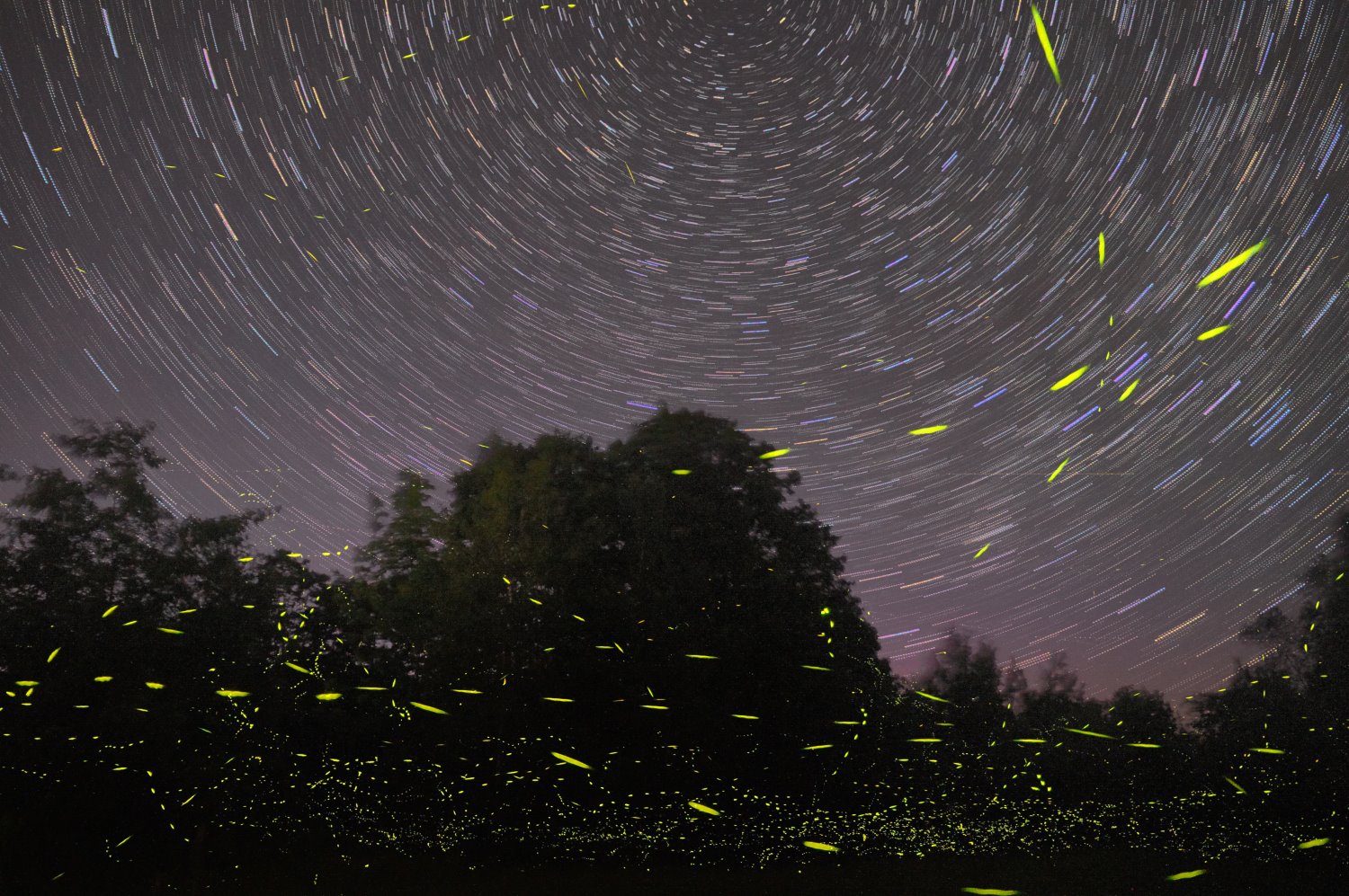 how to shoot light trails