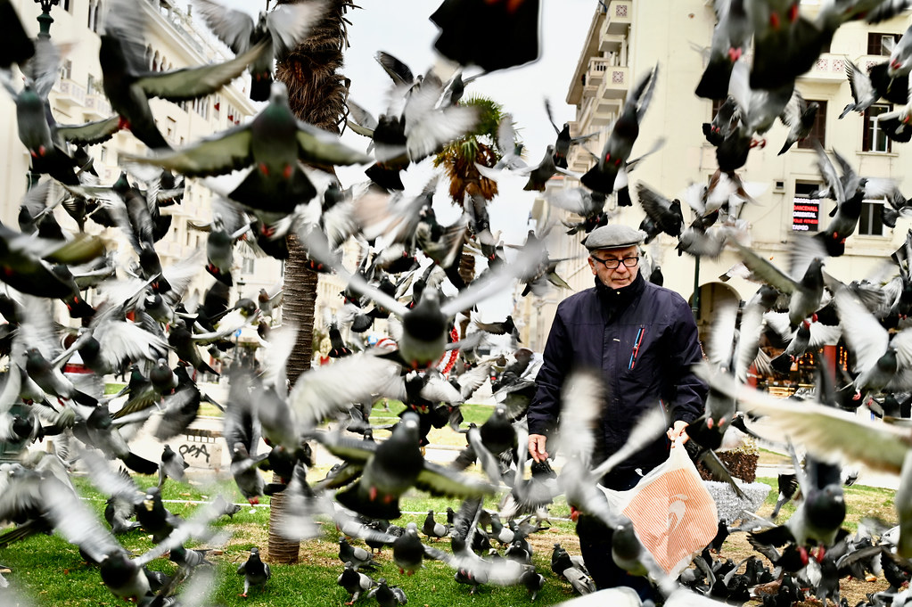 The man who feeds the pigeons