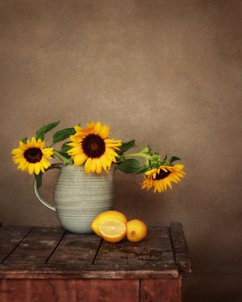 Still life photography