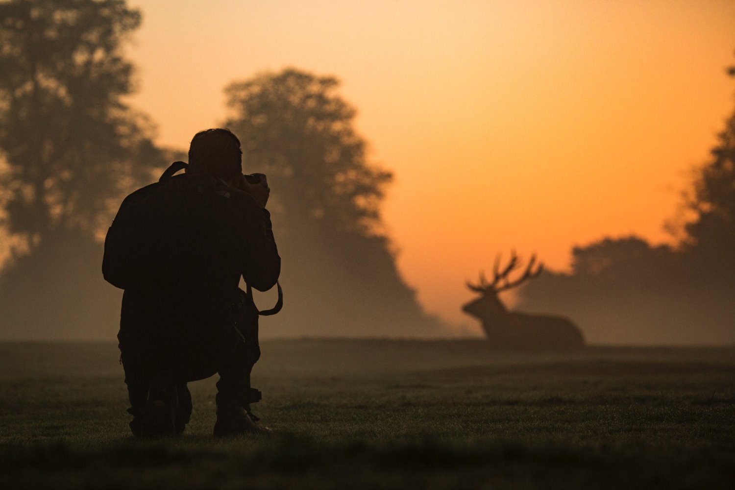 Wildlife photography