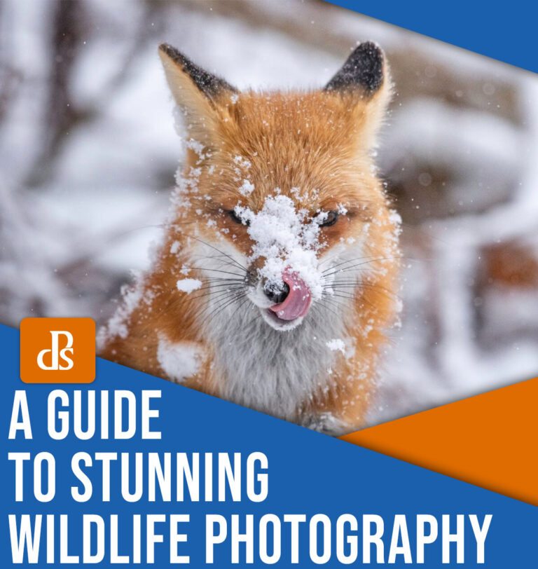 The Ultimate Guide to Wildlife Photography (+ 10 Expert Tips)