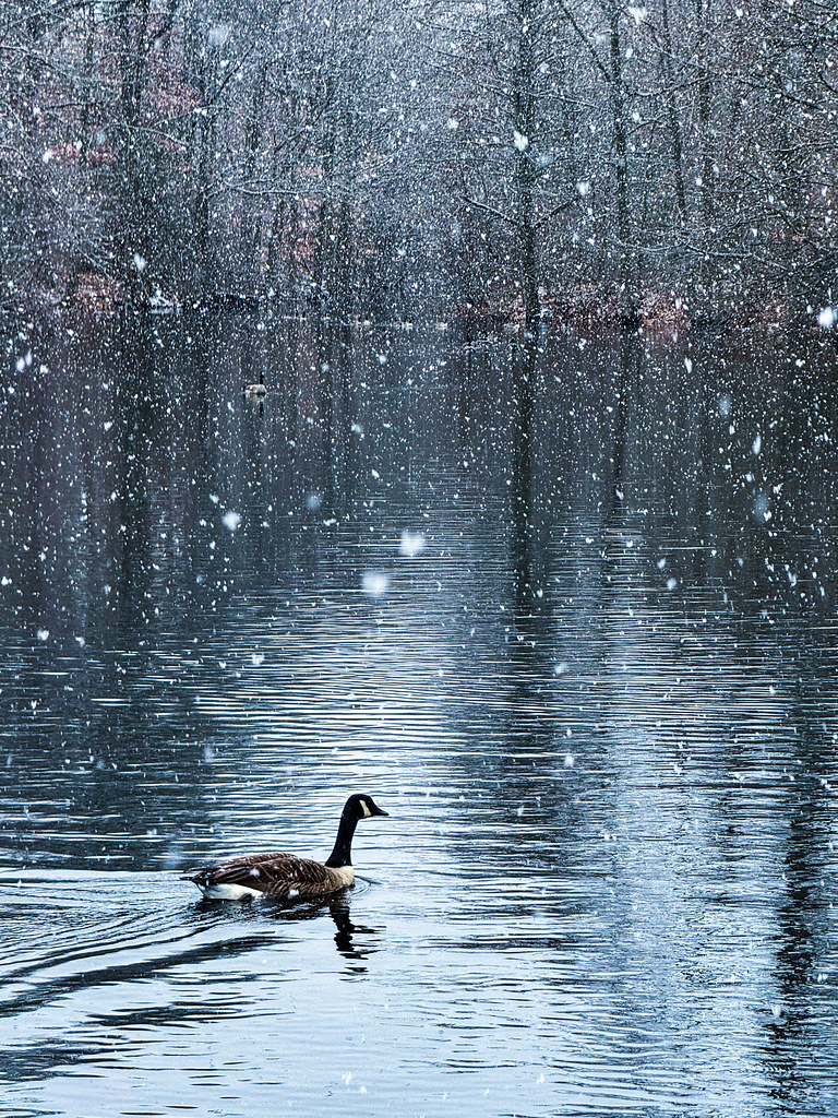 The beauty & solitude of winter