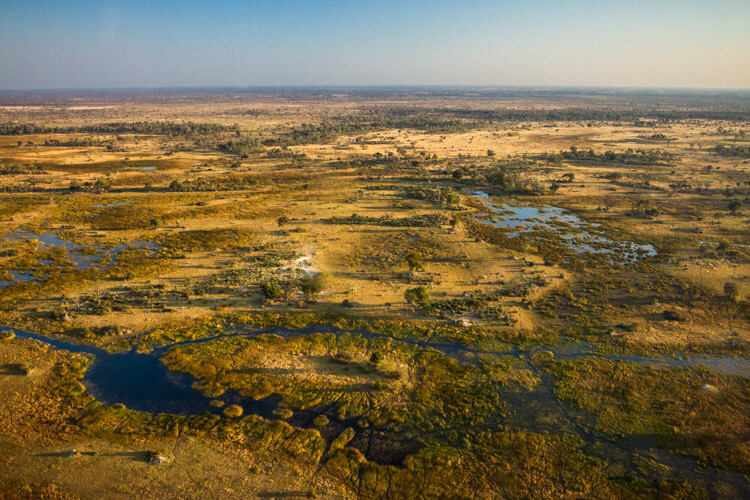 Wide-angle vs telephoto lenses