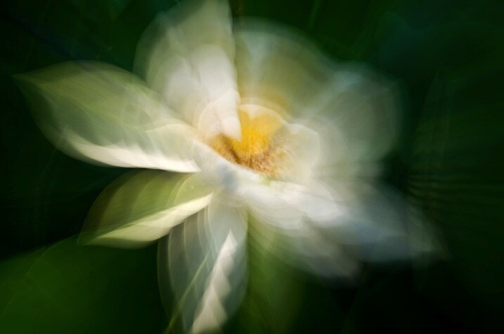 Impressionist photography