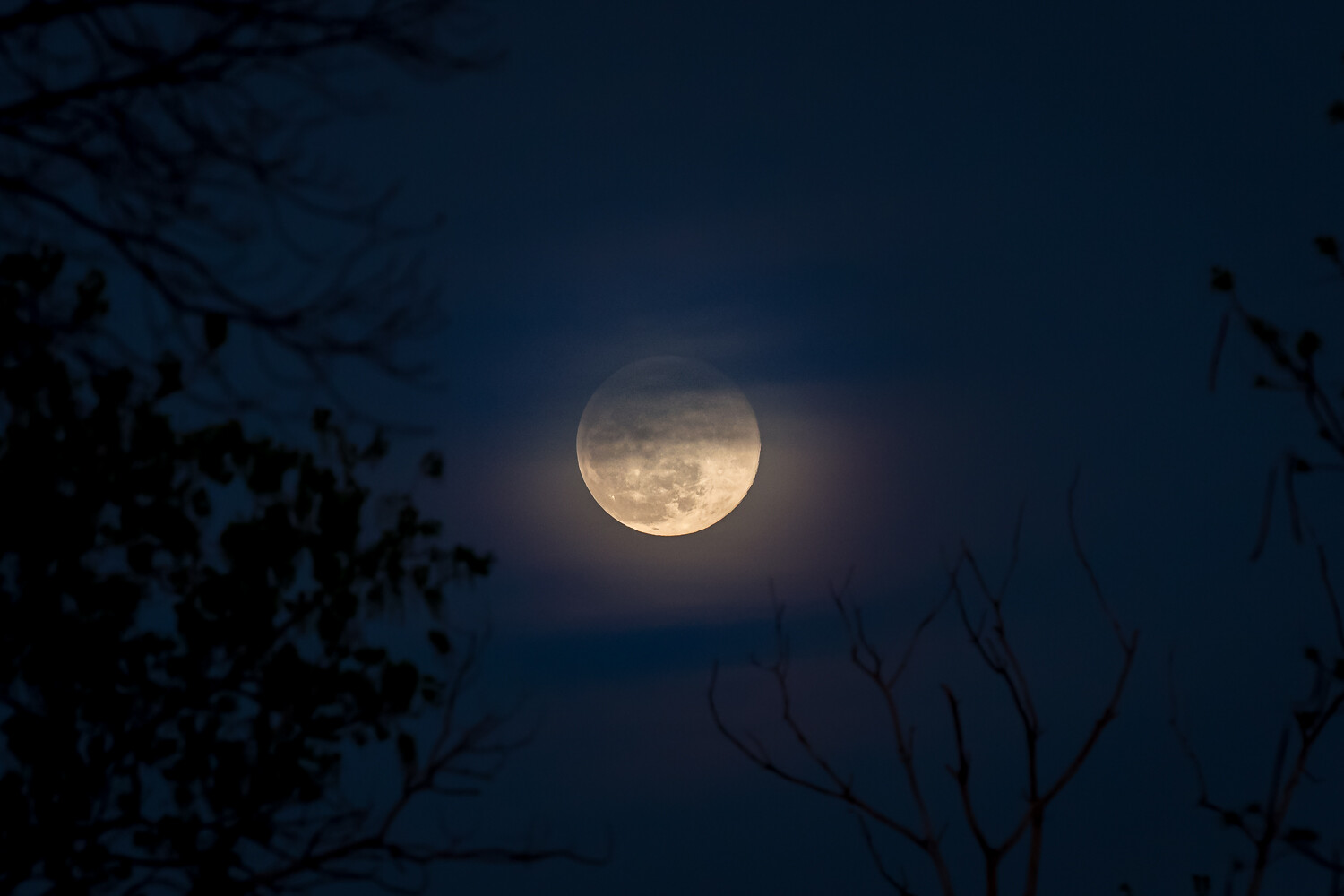 Moon Photography Settings Clouds and Foreground Trees