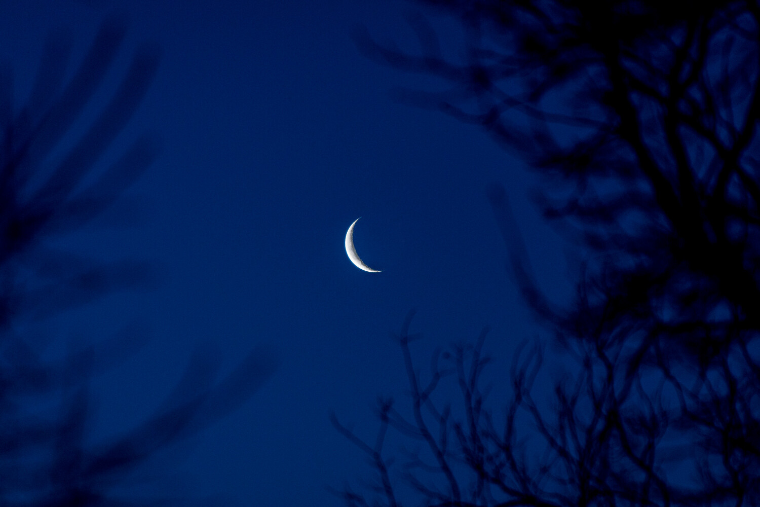 Crescent moon processed RAW